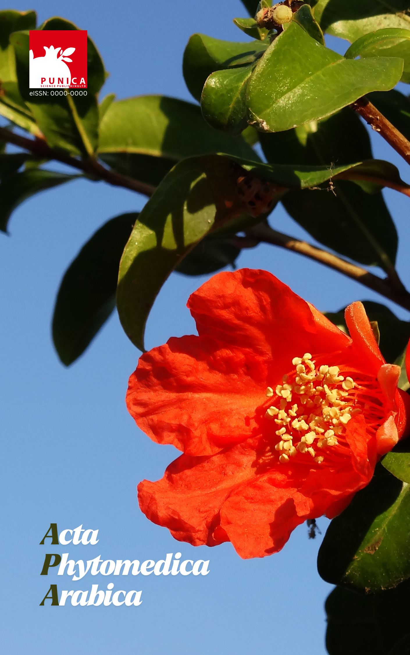 Cover of Acta Phytomedica Arabica — a pomegranate flower against a blue sky
